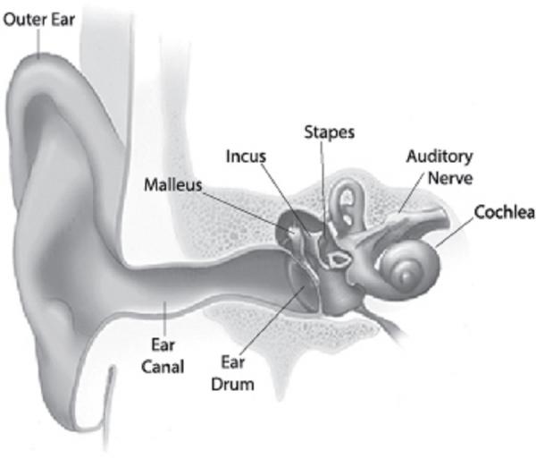 Hearing vibrations in one on sale ear